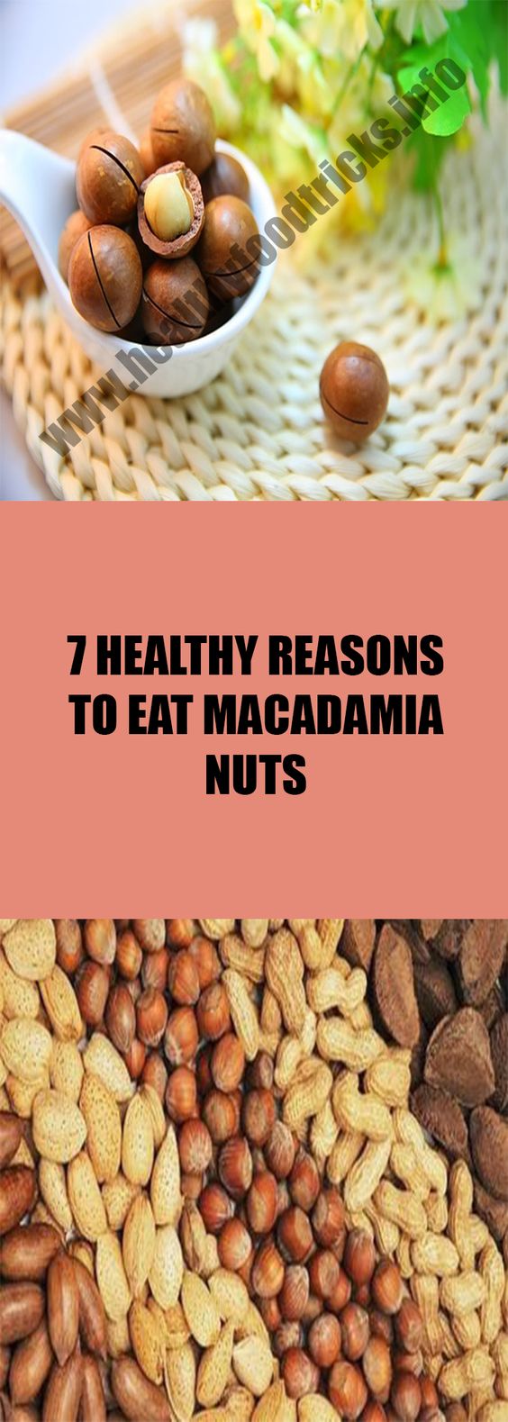 7 HEALTHY REASONS TO EAT MACADAMIA NUTS DIY CRAFT PLUS