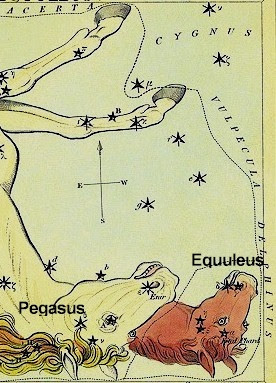 cid marcus delphinus equuleus hercules