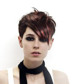Girl's Punk Hairstyles Girl's Punk Hairstyles