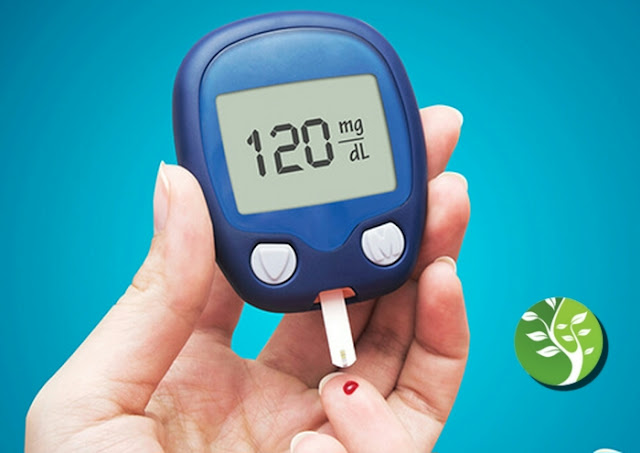 Alimentos ricos en fibra para la diabetes Alimentos ricos en fibra para la diabetes