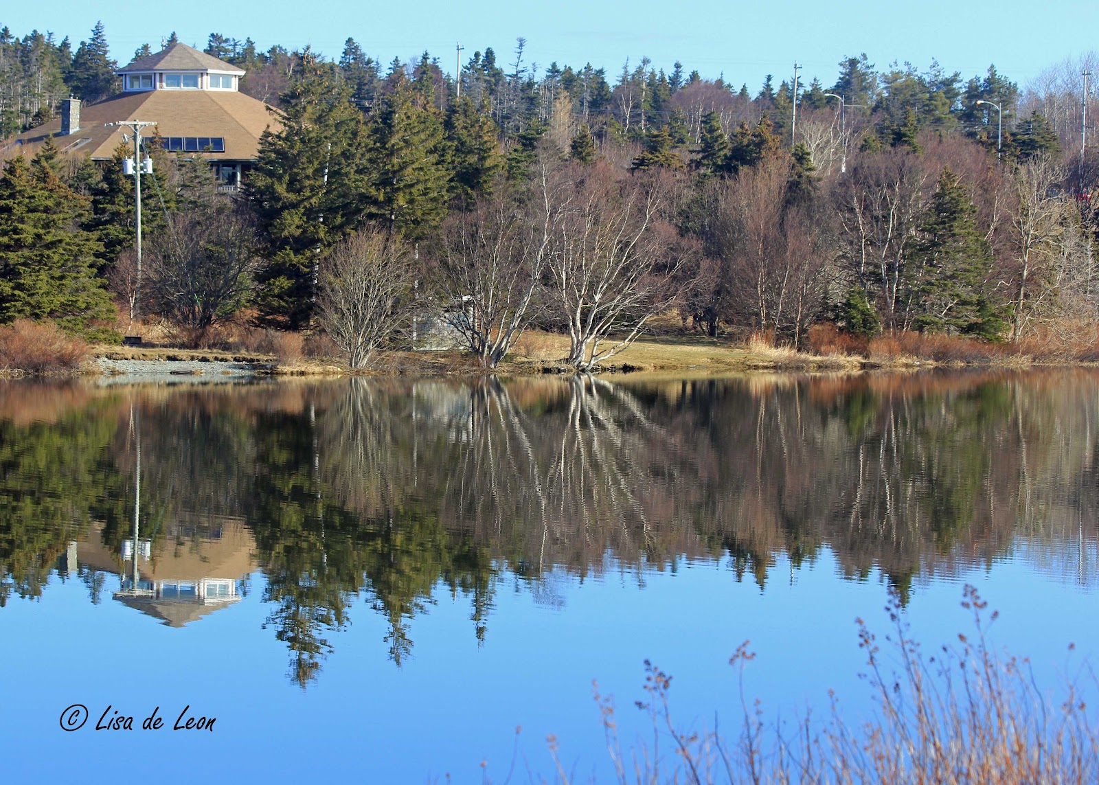 Birding with Lisa de Leon A Glorious Morning at Long Pond