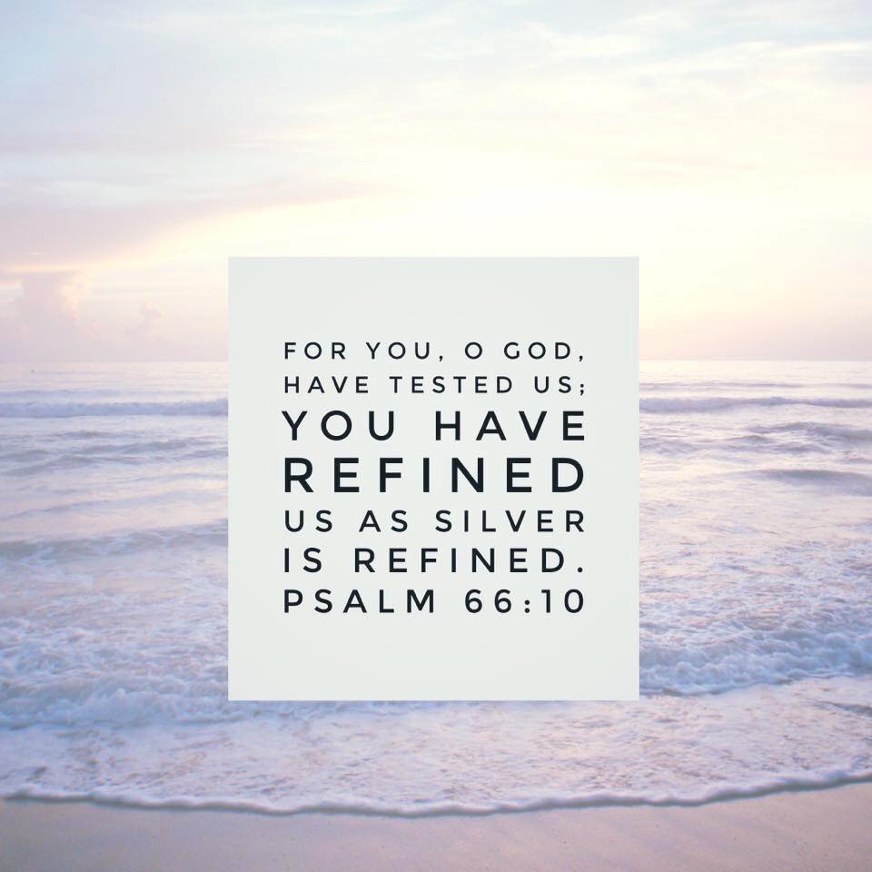 growing up in the word refined according to his purpose