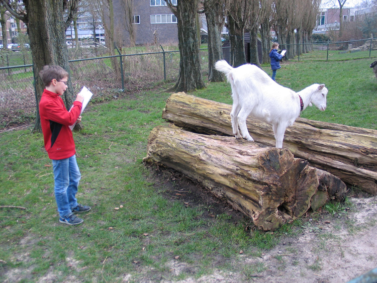 Kinderboerderij Nieuw Rotsoord Hoe teken je een dier? Kinderboerderij Nieuw Rotsoord Hoe teken je een dier?