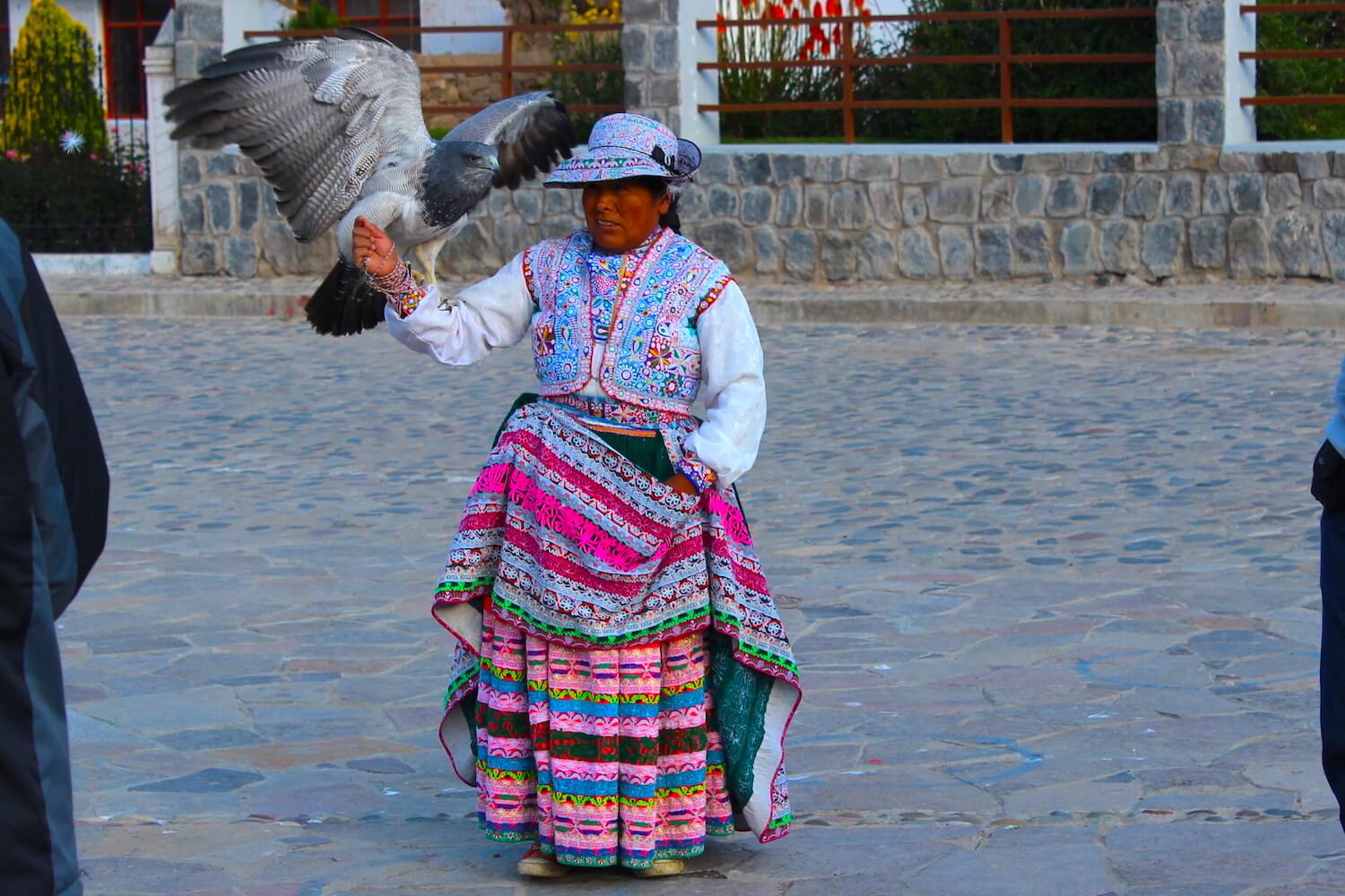 native woman with hawk colca canyon