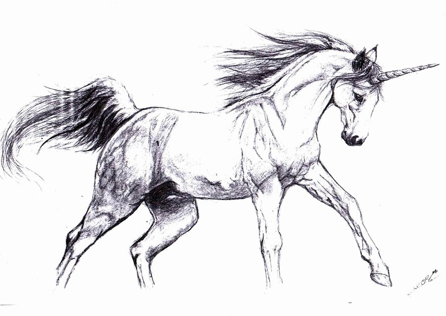  Sketsa  Unicorn Gambar  Pemandangan