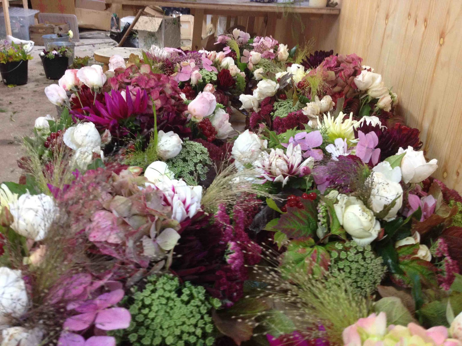 Real Cut Flowers October 2017 Friday 19 October 2017