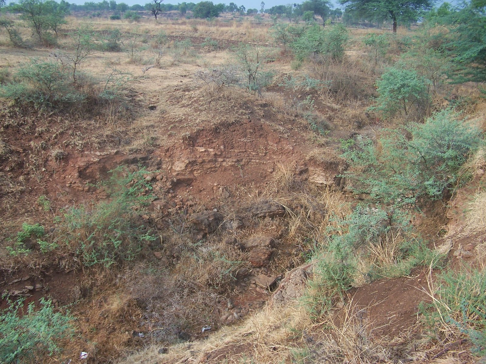 GSS College, Belgaum Intertrappean Beds New Site Located