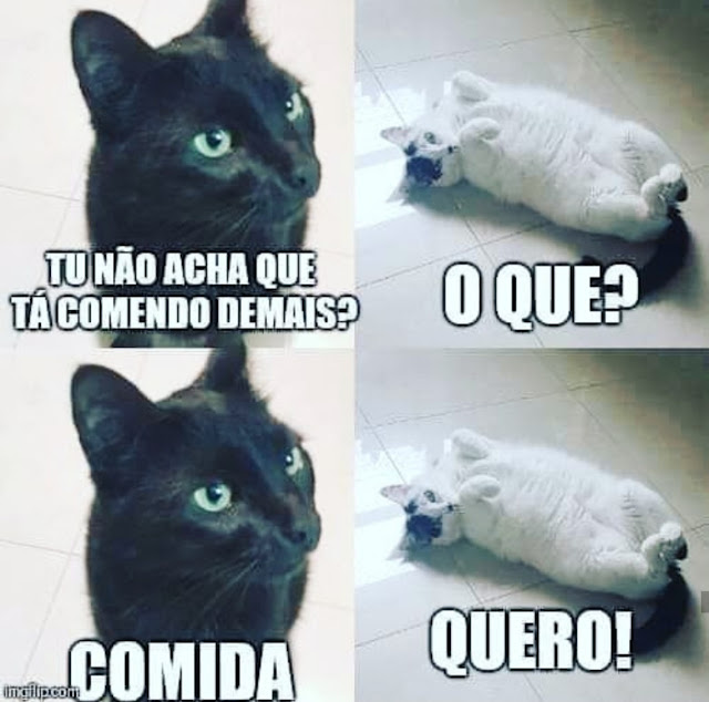 memes memes
