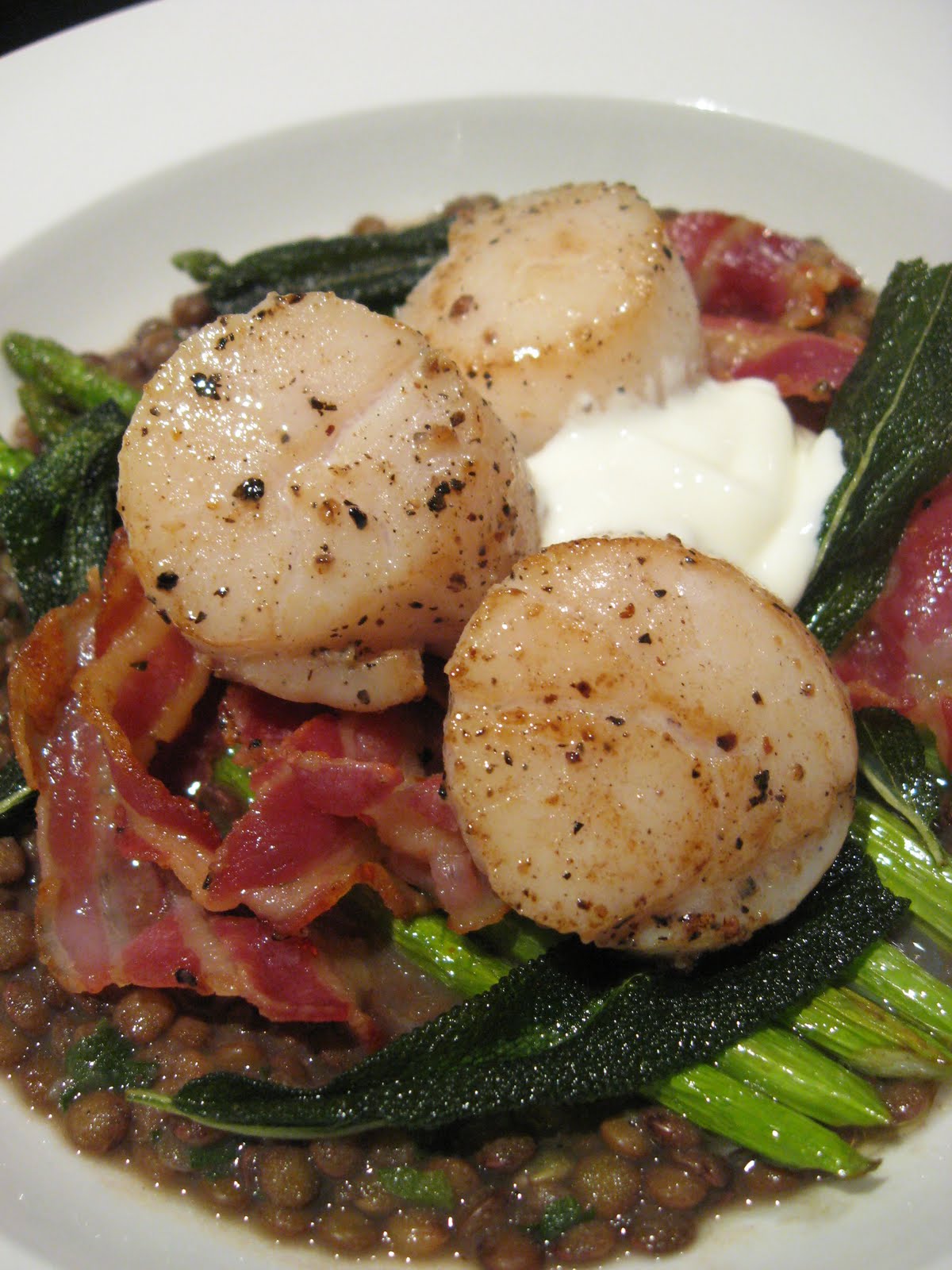 Morsels and Musings scallops w lentils, pancetta & sage