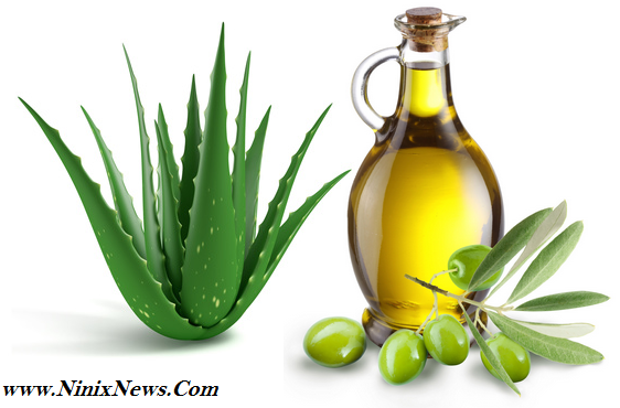 6 Manfaat Menakjubkan Lidah Buaya Untuk Ritual Kecantikan Cobain