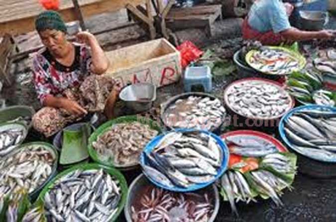 Harga Ikan Segar Dan Telur Ayam Naik Ambon, Malukupost.com - Harga ikan segar berbagai jenis dan telur ayam ras yang ditawarkan para pedagang di dua pasar tradisional Kota Ambon kembali bergerak naik di hari terakhir bulan Januari 2017. Pantauan di lokasi pasar ikan Arumbai kawasan pasar Mardika, Selasa (31/1) pagi, pedagang menawarkan ikan cakalang segar yang dipasok dari Desa Latuhalat mencapai Rp80.000/ekor tergantung ukuran, bahkan ada yang mencapai Rp90.000/ekor. Begitu juga jenis ikan kawalinya dan momar yang sudah diberi es batu dijual dengan harga Rp20.000/enam ekor atau terjadi pengurangan ikan jika dibandingkan dengan hari kemarin yang juga dijual dengan harga Rp20.000/tumpuk namun jumlah delapan ekor ikan.