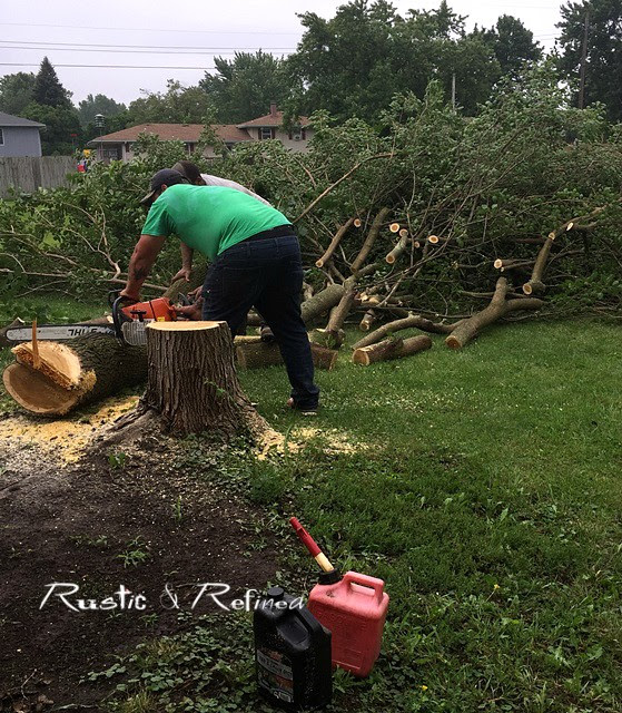 Cutting down a tree
