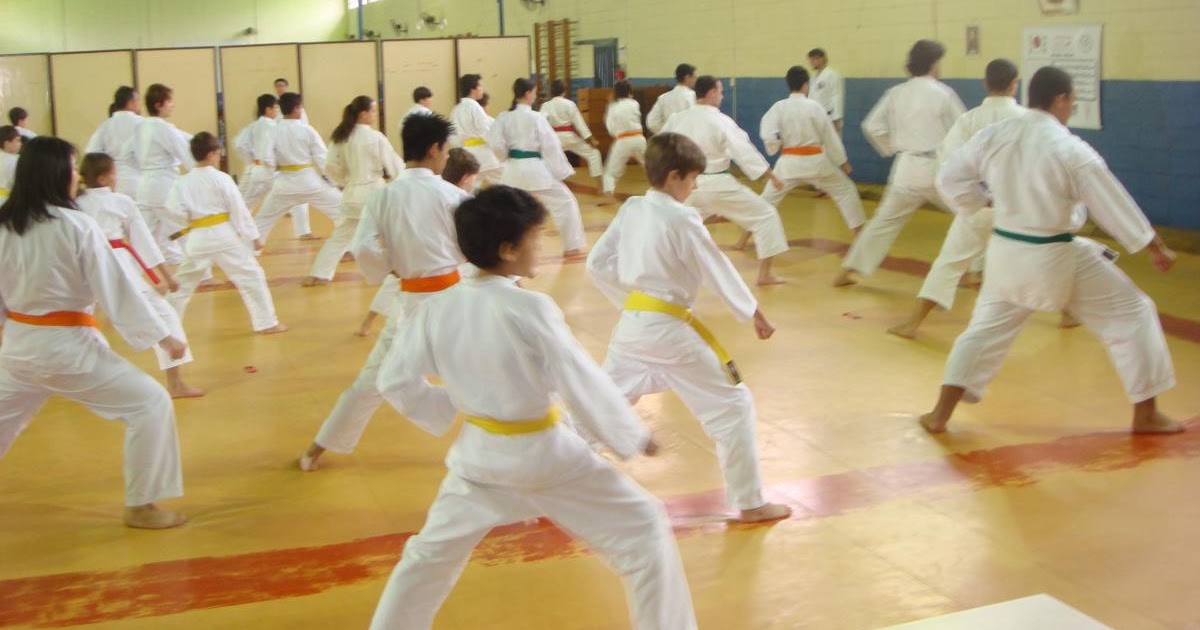 Resultado de imagem para Karatê Amigos da Escola Norte-Rio-grandense (Fekaen)