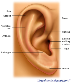 Emilia Rachael Forward Helix Piercing Process Pain And Aftercare