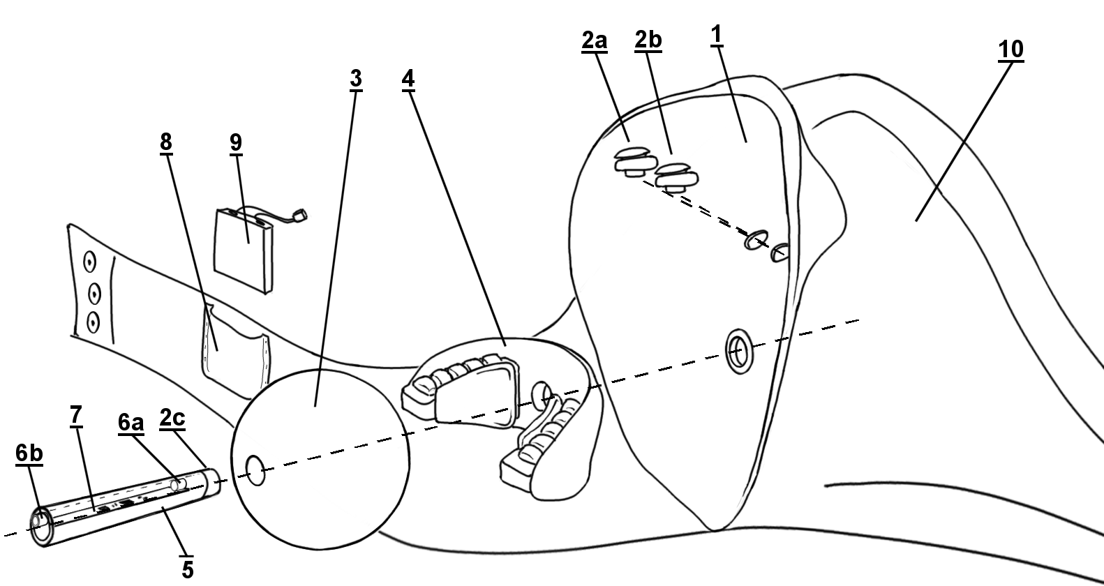 The functions of a gag
