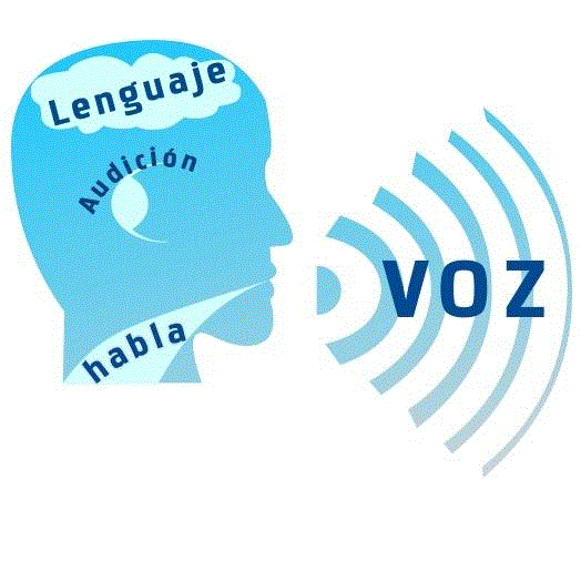 Fonoaudiología