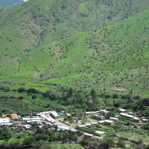 Payllihua
