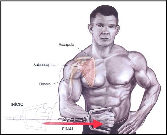 Exercício para M. Subescapular