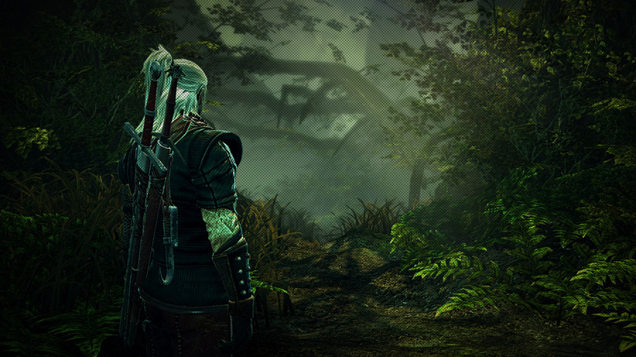 PC Games Best PC Games in May 2011 The Witcher 2 Assassins