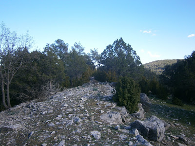 Cerro de Enmedio (Campillos - Sierra, Cañete)