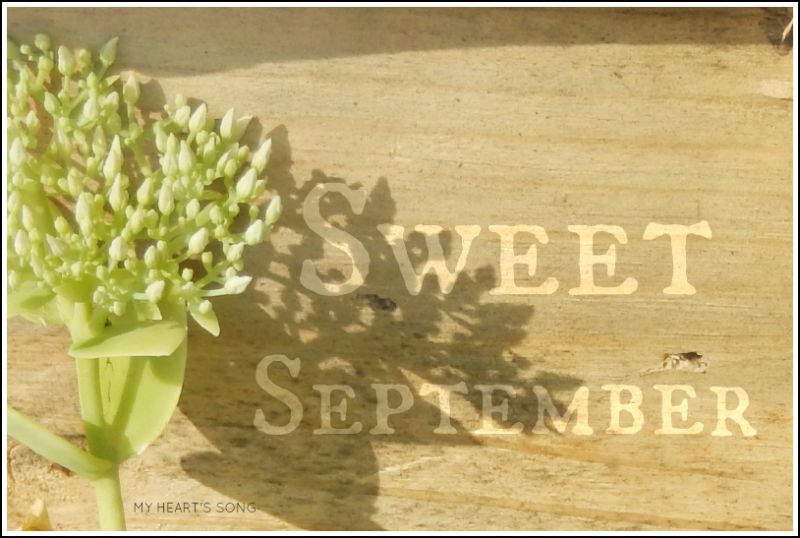 Sweet September Sweet September