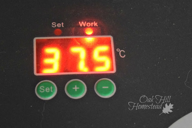 chicken incubator temperature and humidity in celsius chicken incubator temperature and humidity in celsius