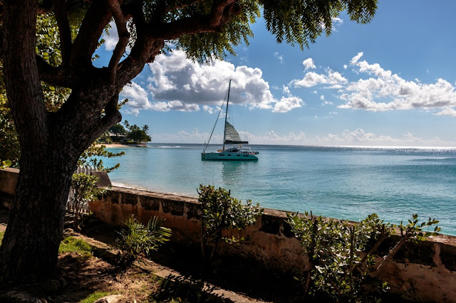 Boat Tours at Clearwater Boat Tours at Clearwater