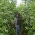 Move Over Cotton!! Say Hello to Hemp, the Forbidden Crop That is Taking the World by Storm