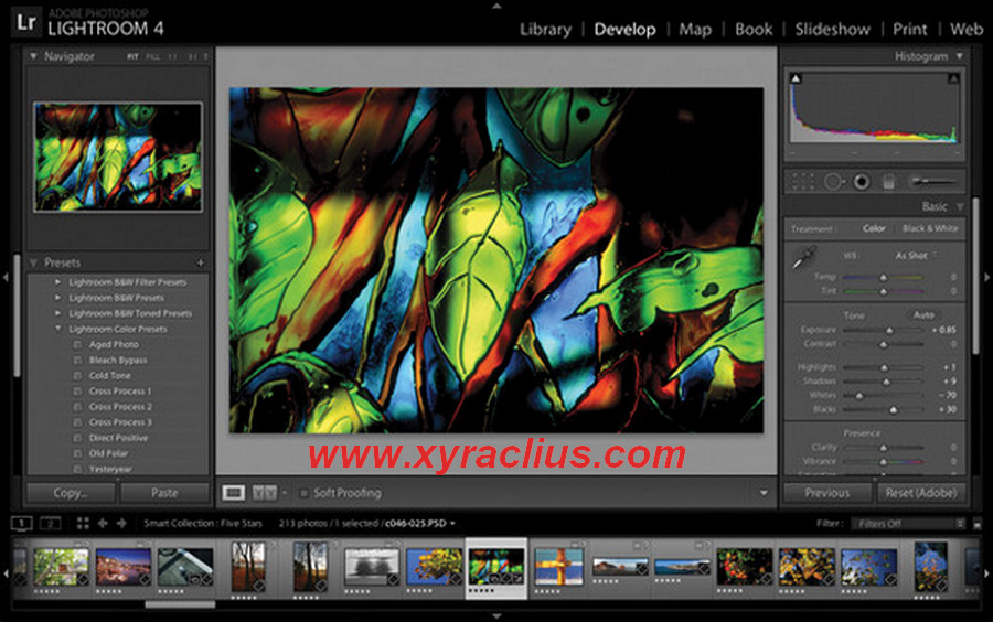 Lightroom 4. Лайтрум для рисования. контроллер для adobe lightroom. lightroom 4.1 64-bit это что. pixel 4 lightroom.