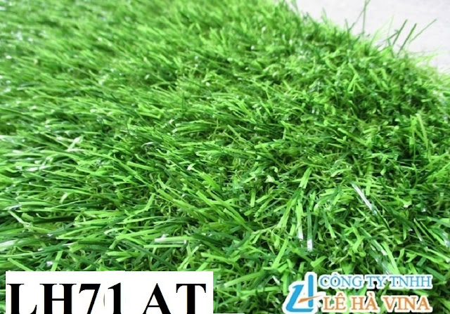 Giá cỏ nhân tạo sân vườn tại Hà Nội giá cực rẻ 