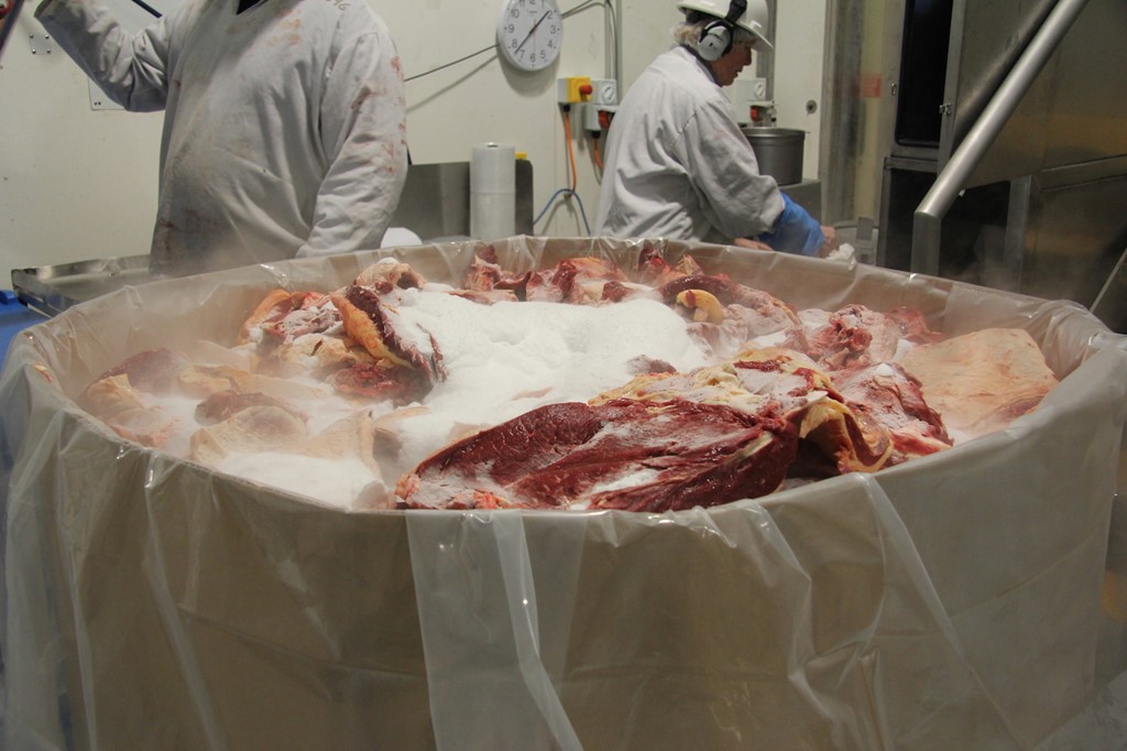 The Slaughterhouse Tour Bindaree Beef Shopthit English