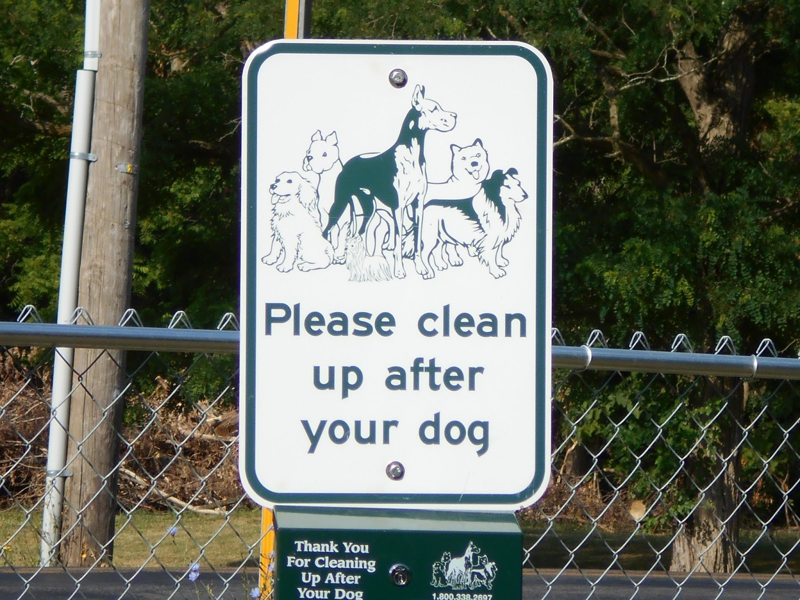 New York State of Mind SHORTSVILLE, NY DOG PARK