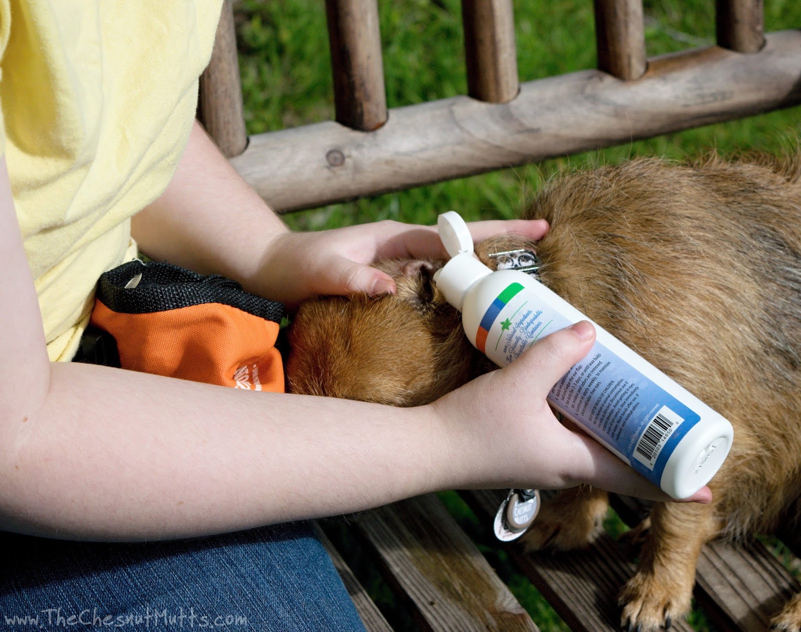 Review & Giveaway Cleaning your Dog's Ears with BVH Pet Care Premium