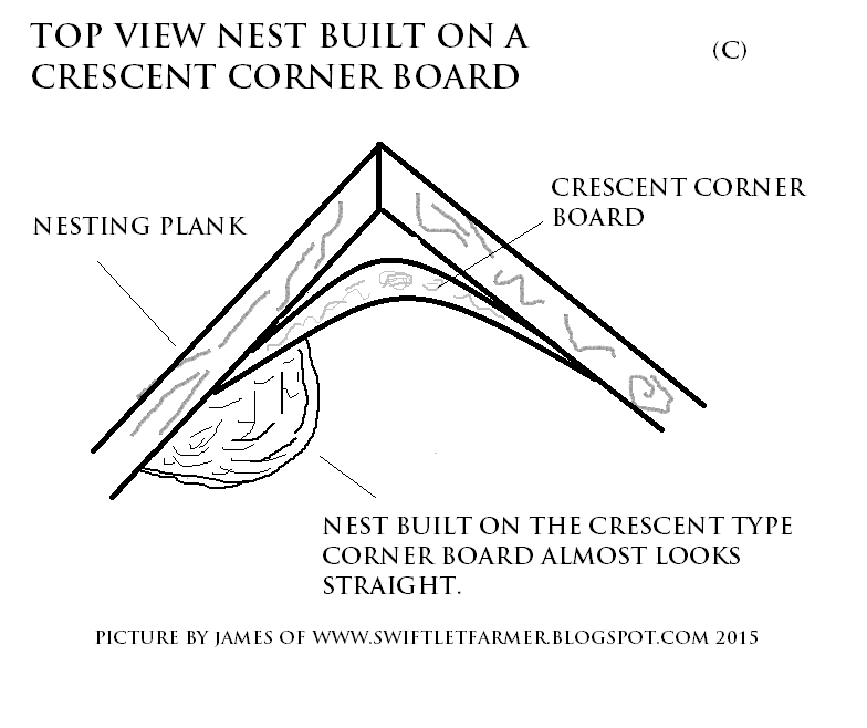 Swiftlet Farming Swiftlets Farming Equipments, Edible Birds Nest and