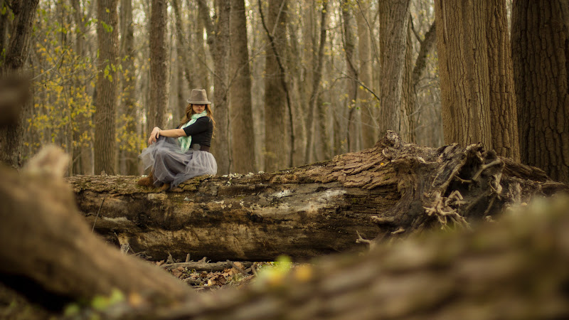 Nature Photos of Dayne Topkin