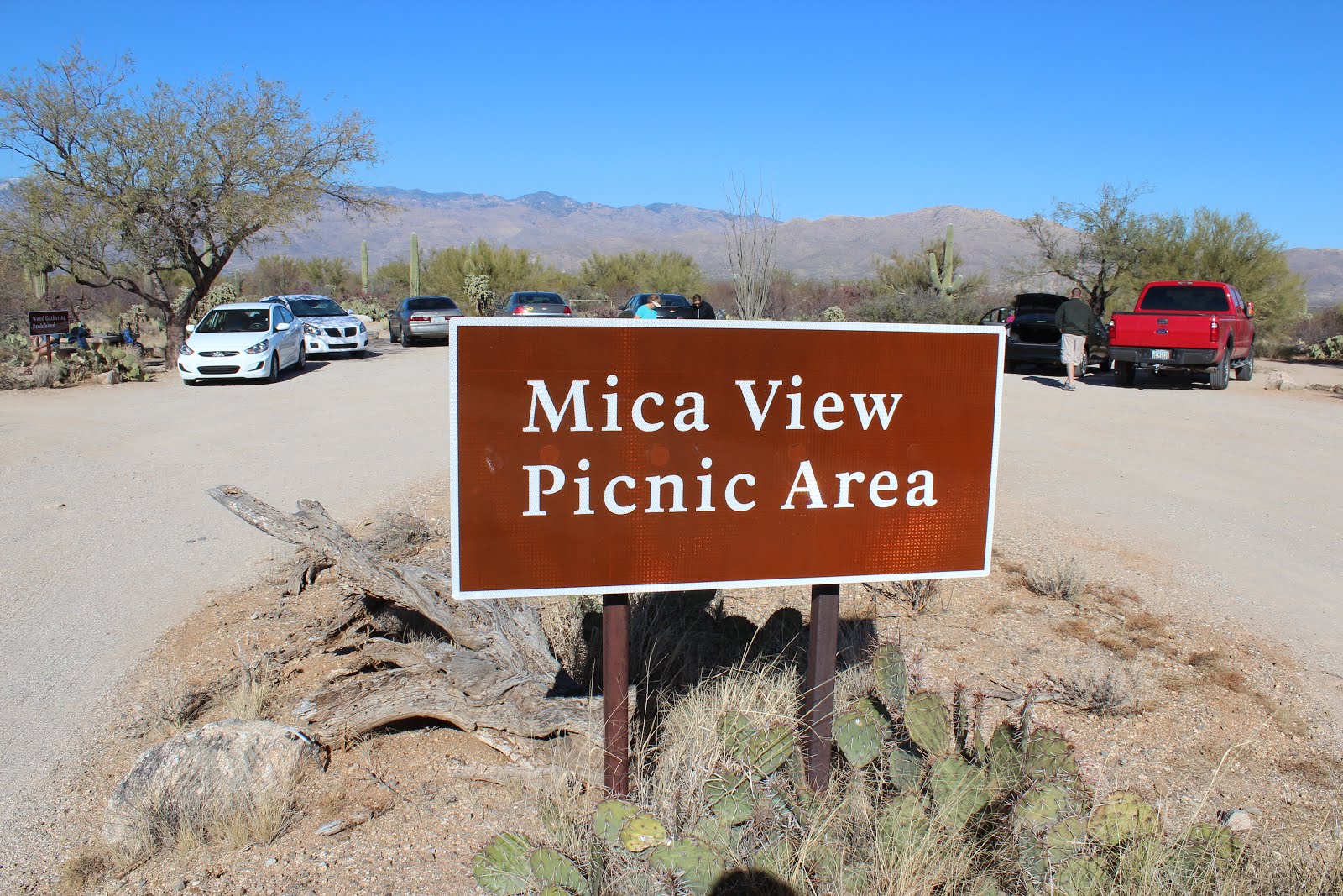 Mica View Loop