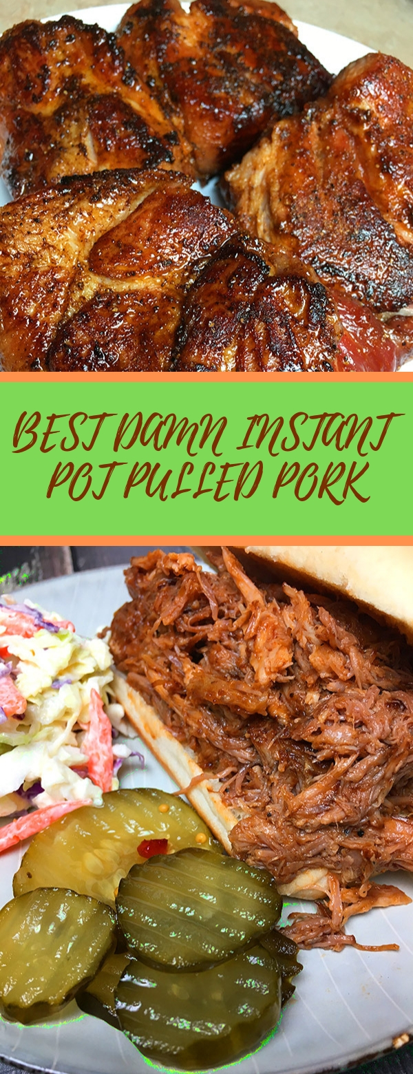 rovieshone food recipes BEST DAMN INSTANT POT PULLED PORK