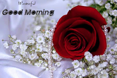 صور صباح الخير صور صباح الخير