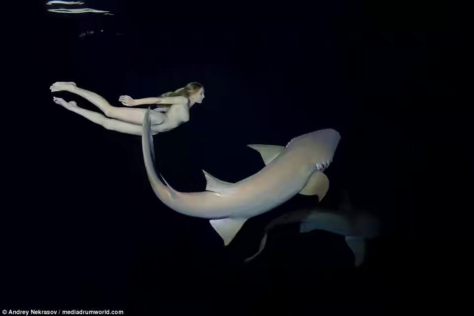 Shark nude Nude Photos 38 Shark nude Nude Photos 32