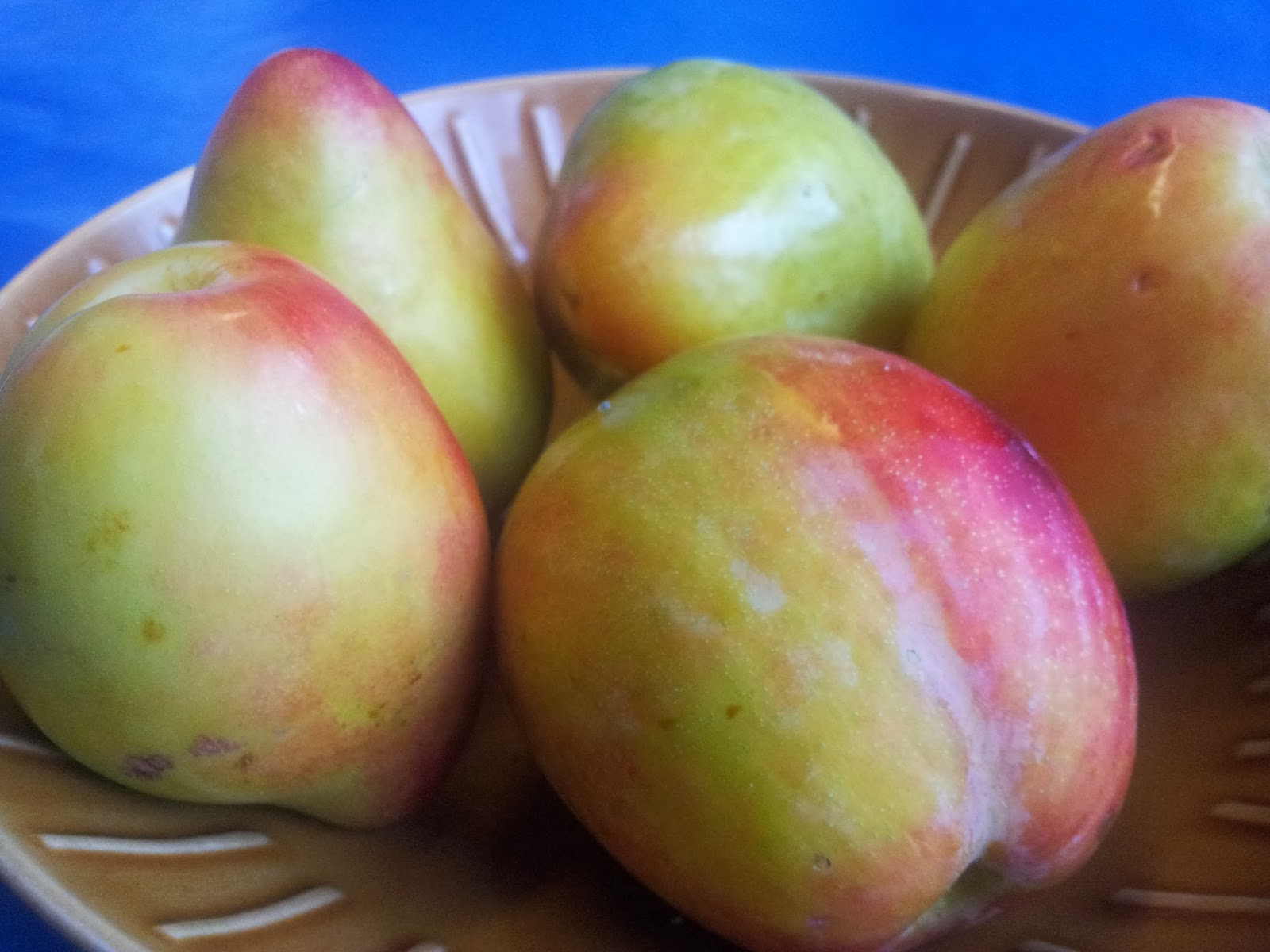 Sanctuary Garden Diary Flying Fertiliser and Luisa Plums