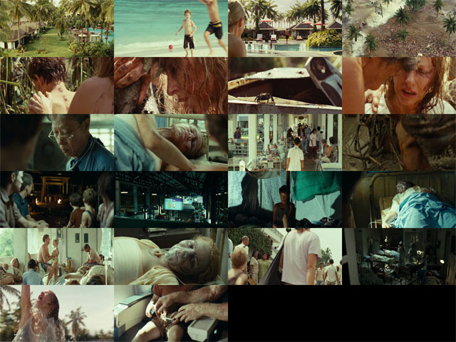 Lo.Imposible.2012.BDRip.LATiNO.XviD.jpg