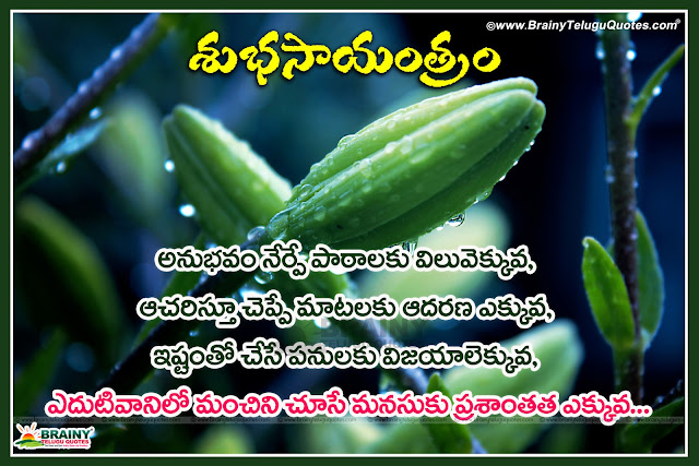 Here is a New and Latest Telugu Language Best Goal Setting Quotations with Happy evening Messages online, Top 10 Telugu Good Evening Quotes on Images, Best Telugu Good Evening Pics for Love, Telugu Daily Good Evening Quotes and Messages,Best Good Evening Quotes and Sayings Greetings in English Language, Famous and New Good Evening Best Pictures free,Latest and New Top 5 English Good Evening Quotes and Messages with Nice Motivated Messages. Latest Good Evening WhatsApp Images for Lovers. Best Facebook Evening Quotes Pictures. Beautiful Good Evening Quotes and Greetings,Inspiring Good Evening Sayings and Wallpapers, Top Inspiring Good Evening Quotes and Best Greetings, Good Evening Cool Quotes and Messages,Telugu Good Evening Quotes messages, Best Friendship Quotes in telugu, Feeling Alone Telugu Quotes,Best Facebook Evening Quotes Pictures. Beautiful Good Evening Quotes and Greetings, Nice life thoughts with Victory Quotes, Beautiful Telugu attitude change quotes for friends, New latest fresh online trending facebook google plus posts messages quotes sms whatsapp images free download. 