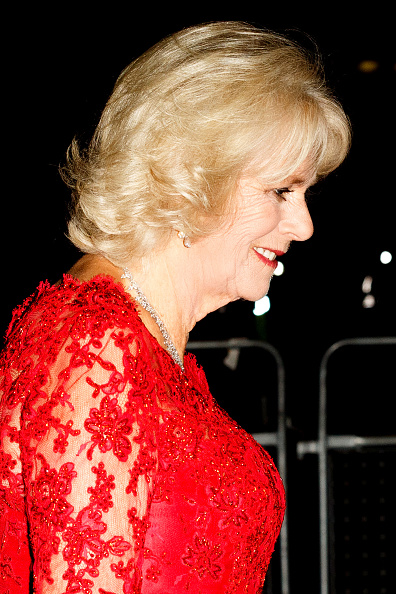 Royal Family Around the World: Prince Charles, Prince of Wales and