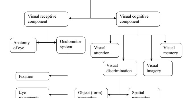 The Times of Rehabilitation: Visual Perception - what it exactly is?