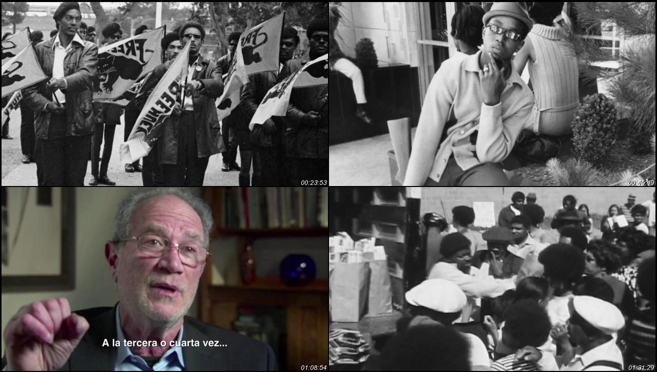 The Black Panthers: Vanguard of the Revolution 2015