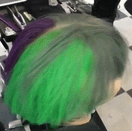 GIF.gif
