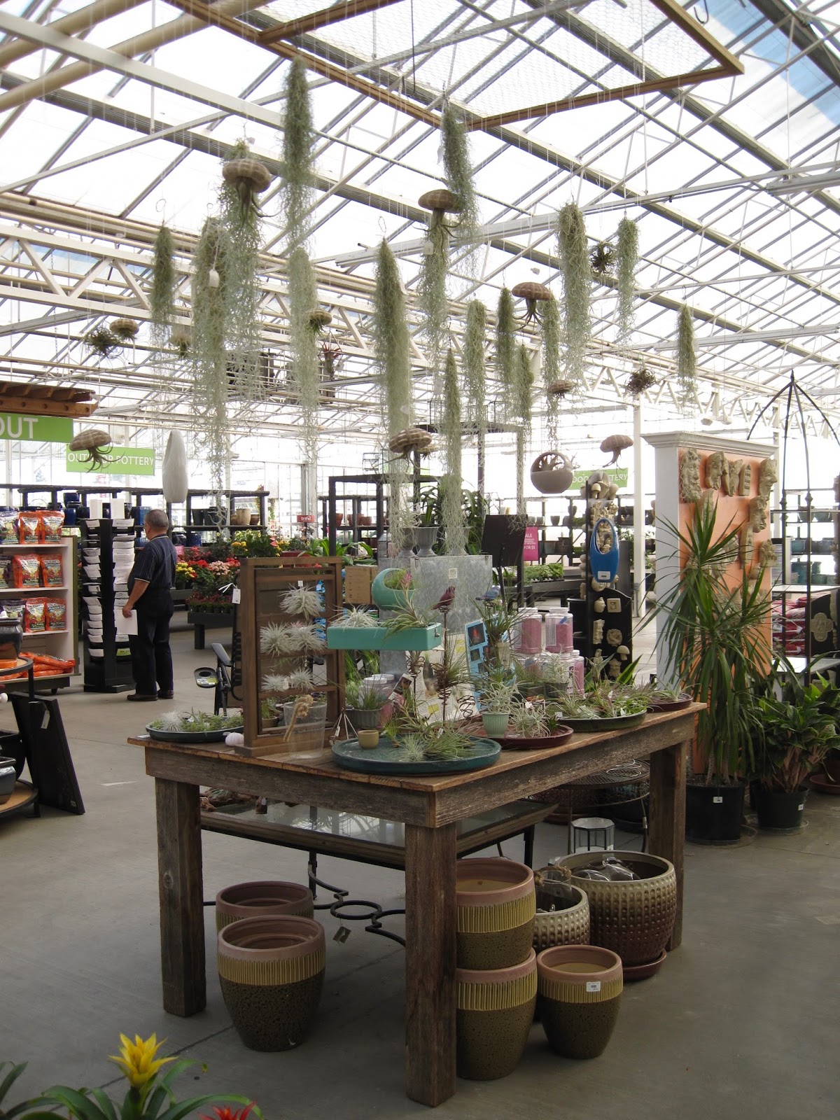 Bonney Lassie A Trip To Watson's Nursery