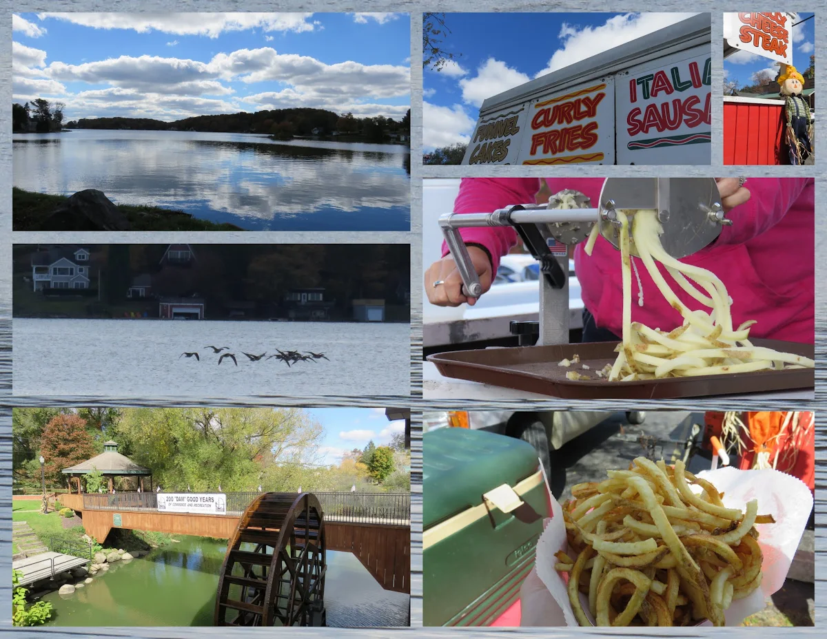 12 of the Most Unique Things to Do in Westfield NY Sidewalk Safari