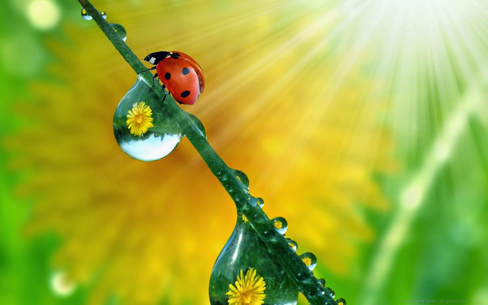 Kamal Shah: Beautiful photography wallpapers