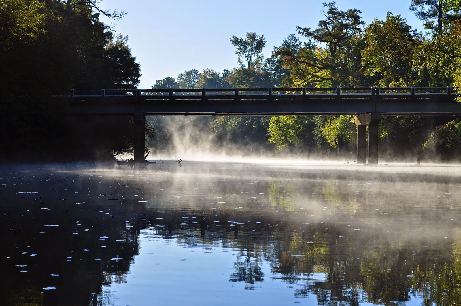 A Tidewater Paddler Nottoway River, Peter's Bridge 10/5/14